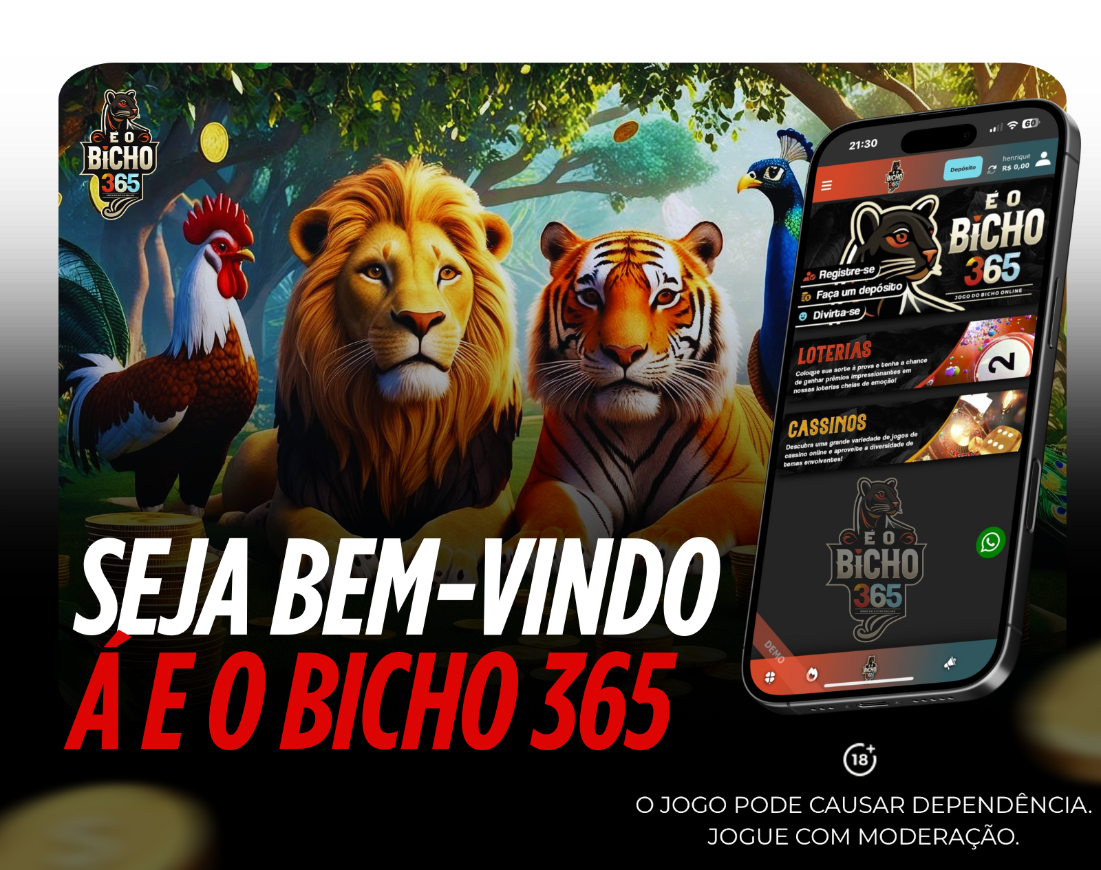 Imagem 2