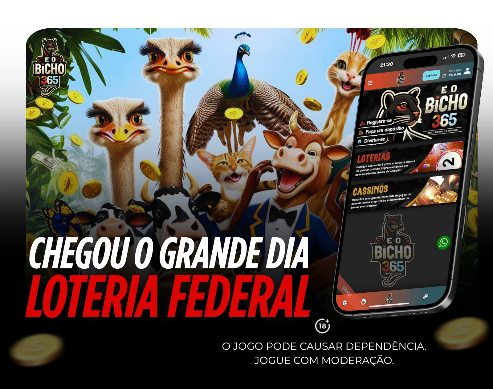 Imagem 2
