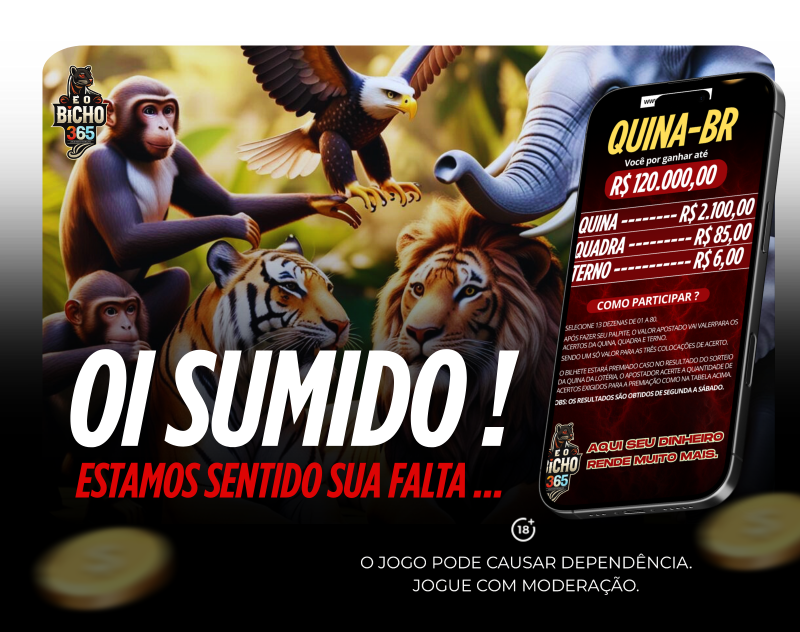 Imagem 2